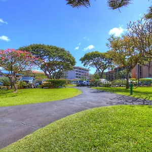 Apartment Maui Vista 3101, Kihei